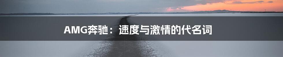 AMG奔驰：速度与激情的代名词