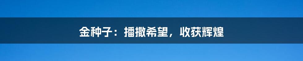 金种子：播撒希望，收获辉煌