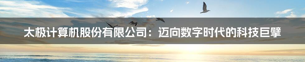 太极计算机股份有限公司:迈向数字时代的科技巨擘