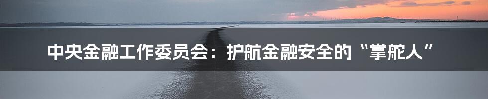 中央金融工作委员会：护航金融安全的“掌舵人”