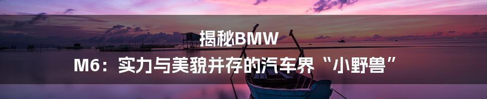 揭秘BMW M6:实力与美貌并存的汽车界“小野兽”