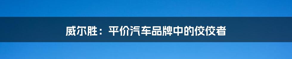 威尔胜：平价汽车品牌中的佼佼者