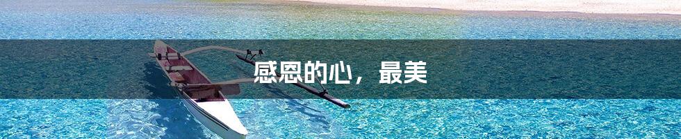 感恩的心，最美