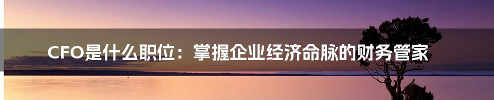 CFO是什么职位：掌握企业经济命脉的财务管家