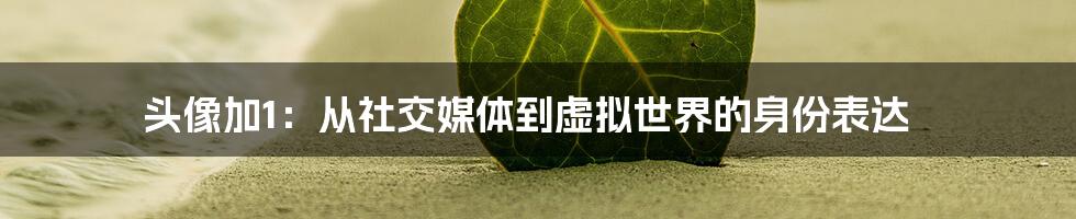 头像加1:从社交媒体到虚拟世界的身份表达