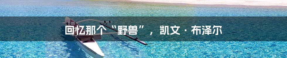 回忆那个“野兽”,凯文·布泽尔