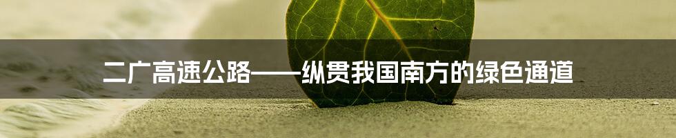 二广高速公路——纵贯我国南方的绿色通道