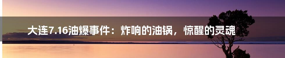 大连7.16油爆事件：炸响的油锅，惊醒的灵魂