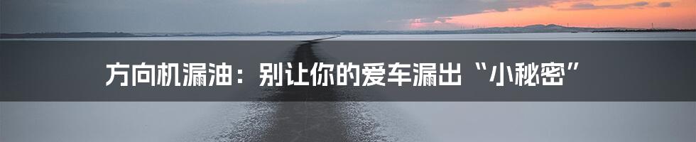 方向机漏油:别让你的爱车漏出“小秘密”