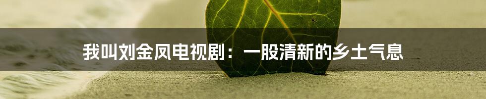 我叫刘金凤电视剧:一股清新的乡土气息