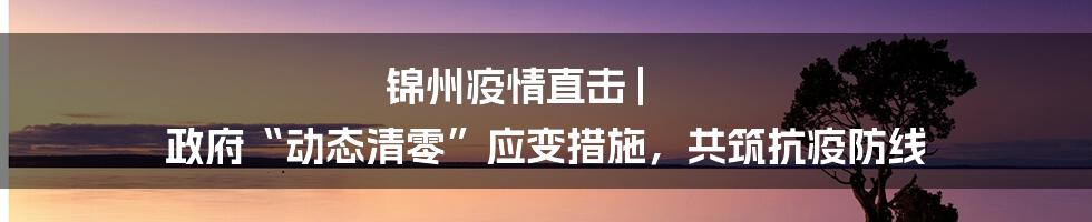 锦州疫情直击 | 政府“动态清零”应变措施,共筑抗疫防线