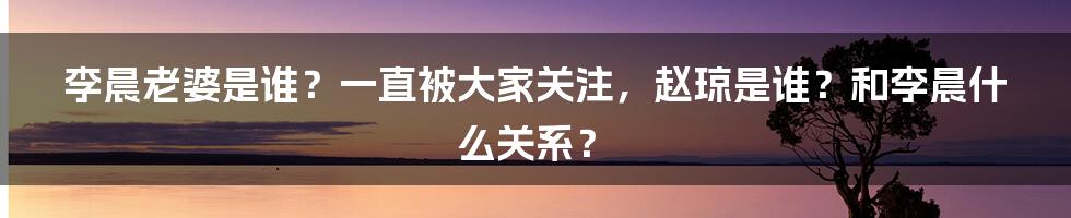 李晨老婆是谁？一直被大家关注，赵琼是谁？和李晨什么关系？