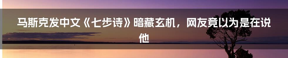 马斯克发中文《七步诗》暗藏玄机，网友竟以为是在说他