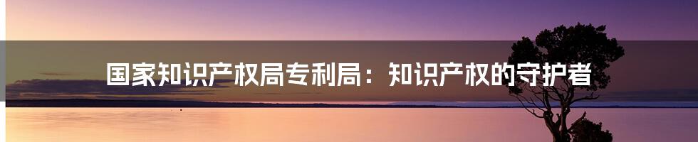国家知识产权局专利局:知识产权的守护者