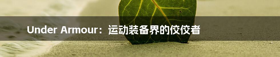 Under Armour：运动装备界的佼佼者