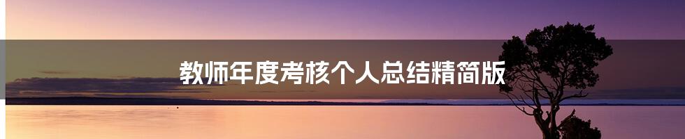教师年度考核个人总结精简版
