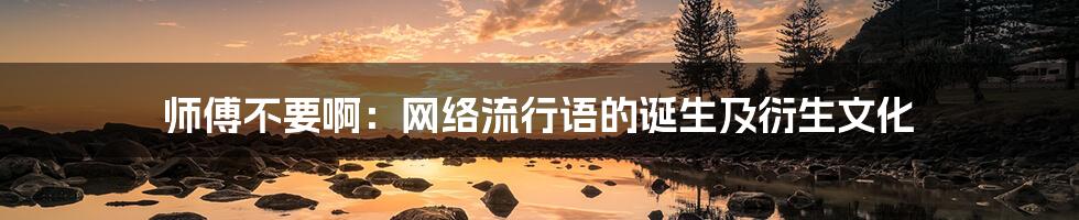 师傅不要啊:网络流行语的诞生及衍生文化