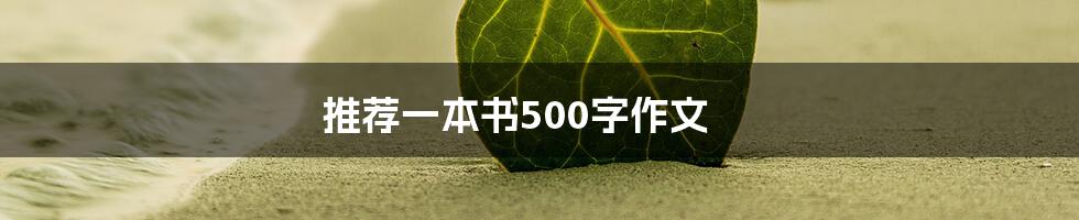 推荐一本书500字作文