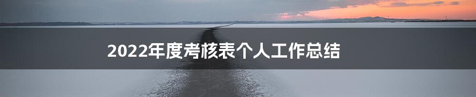 2022年度考核表个人工作总结