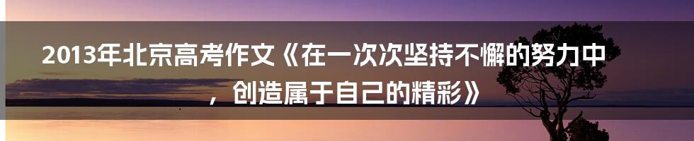 2013年北京高考作文《在一次次坚持不懈的努力中,创造属于自己的精彩》