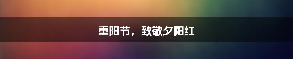 重阳节,致敬夕阳红