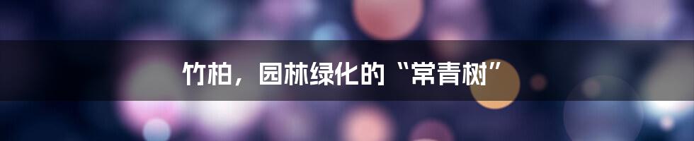 竹柏，园林绿化的“常青树”