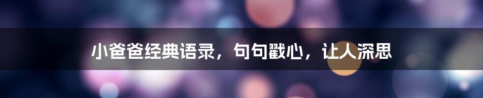 小爸爸经典语录,句句戳心,让人深思