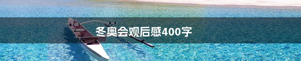 冬奥会观后感400字