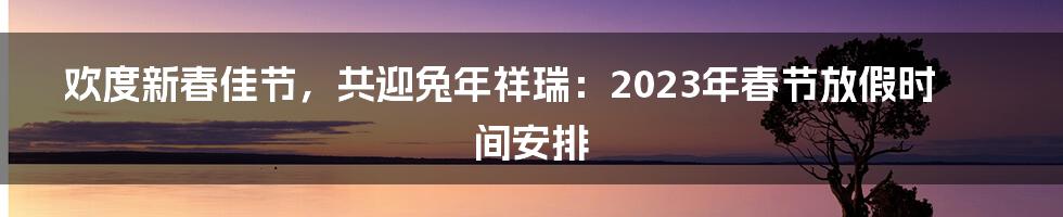 欢度新春佳节，共迎兔年祥瑞：2023年春节放假时间安排