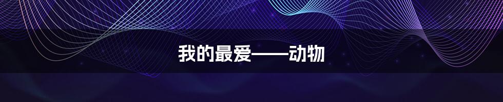 我的最爱——动物