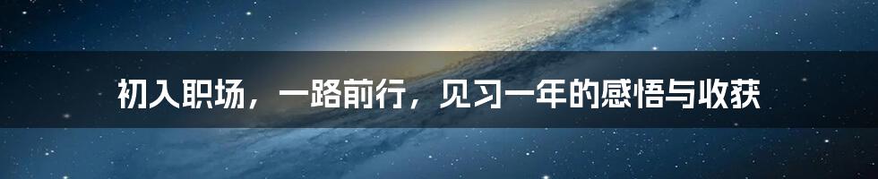 初入职场，一路前行，见习一年的感悟与收获