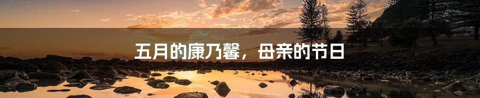 五月的康乃馨,母亲的节日