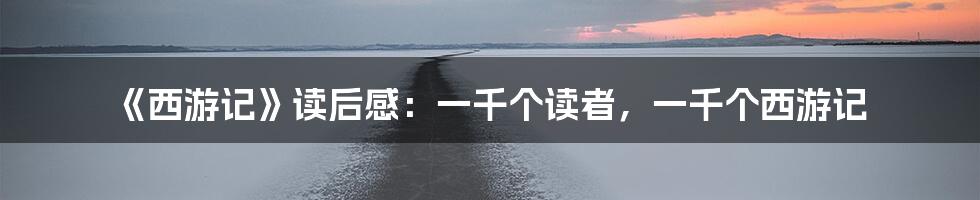 《西游记》读后感:一千个读者,一千个西游记