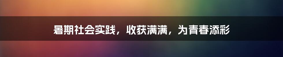 暑期社会实践,收获满满,为青春添彩