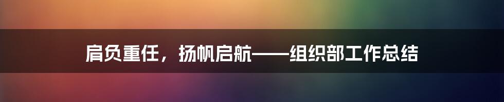 肩负重任,扬帆启航——组织部工作总结