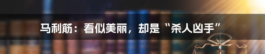 马利筋：看似美丽，却是“杀人凶手”