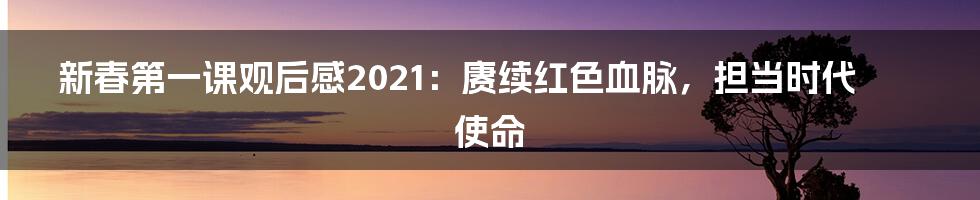 新春第一课观后感2021：赓续红色血脉，担当时代使命