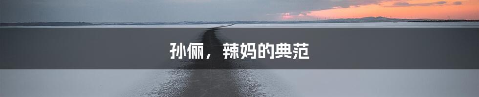 孙俪，辣妈的典范