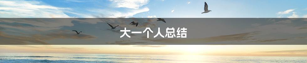 大一个人总结