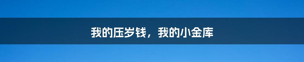 我的压岁钱,我的小金库