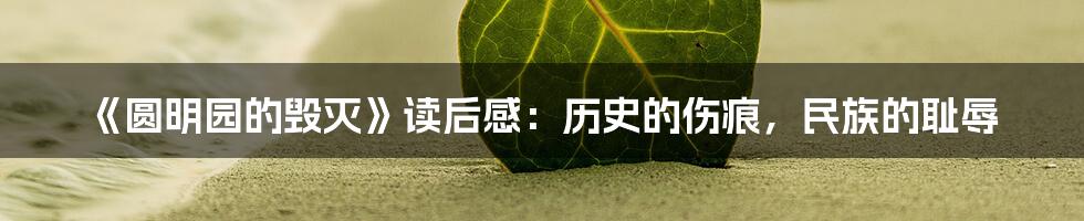《圆明园的毁灭》读后感:历史的伤痕,民族的耻辱