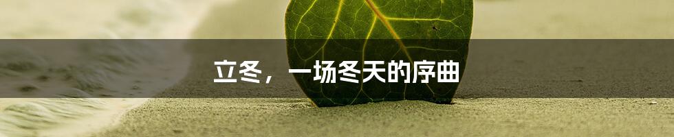 立冬,一场冬天的序曲