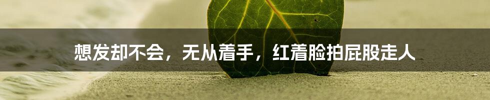 想发却不会,无从着手,红着脸拍屁股走人