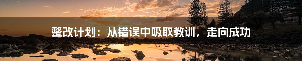 整改计划:从错误中吸取教训,走向成功