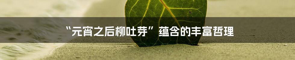 “元宵之后柳吐芽”蕴含的丰富哲理