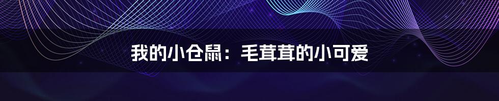 我的小仓鼠:毛茸茸的小可爱