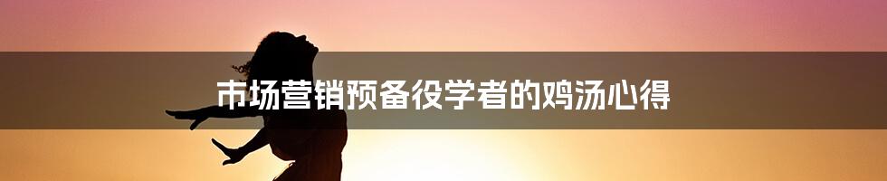 市场营销预备役学者的鸡汤心得