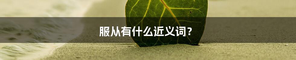 服从有什么近义词?