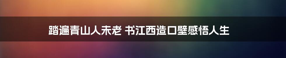踏遍青山人未老 书江西造口壁感悟人生