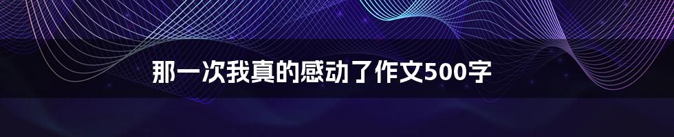 那一次我真的感动了作文500字